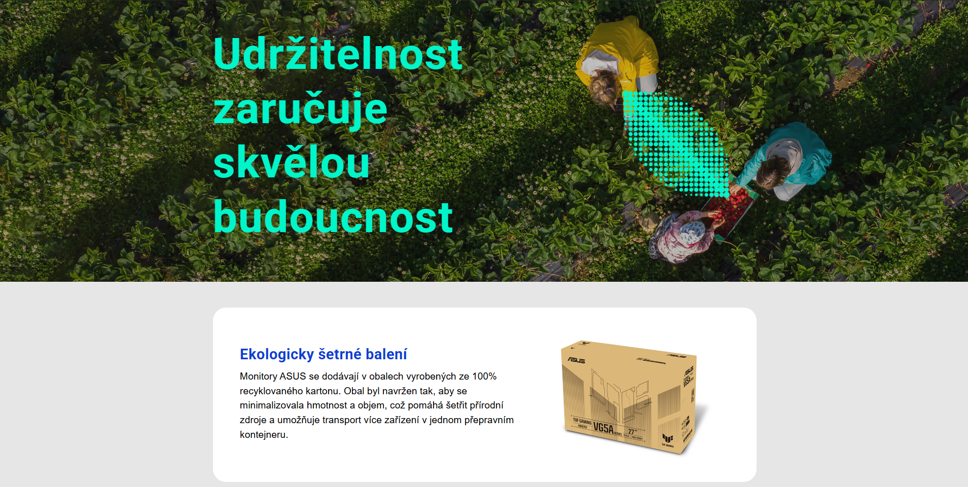 Snímek obrazovky 2026-03-25 113019